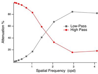 Insensitivity to Fearful Emotion for Early ERP Components in High Autistic Tendency Is Associated with Lower Magnocellular Efficiency